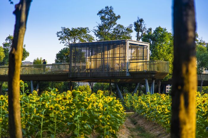 Revolutionary Sponge City Concept Can Solve Water Problems Instead Of Creating Them Revolutionary Sponge City Concept Can Solve Water Problems Instead Of Creating Them