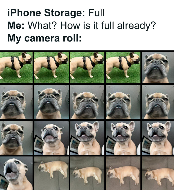 Funny-Memes-Epicfunnypage