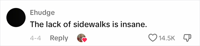 Woman Is Frustrated About Having To Pay For Basic Human Necessities, Shows Where The USA Went Wrong