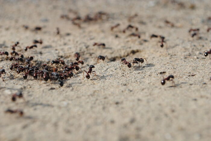 25 Hábitos que aún conservan quienes se criaron en la pobreza