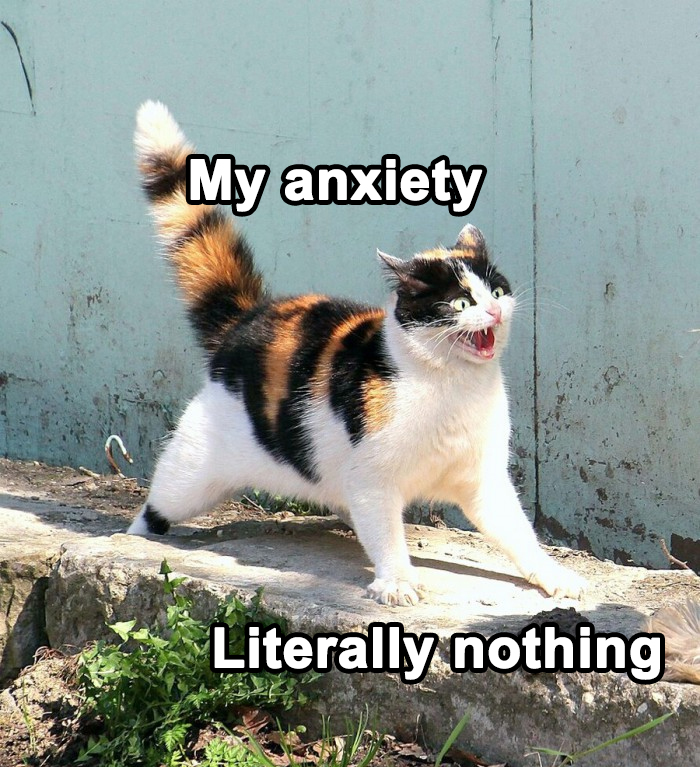 A calico cat hisses, labeled "My anxiety," standing opposite "Literally nothing," highlighting relatable mental health humor.
