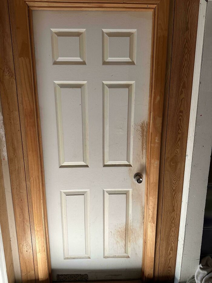 Scratches On My Door From When My Dog Was Young vs. Old