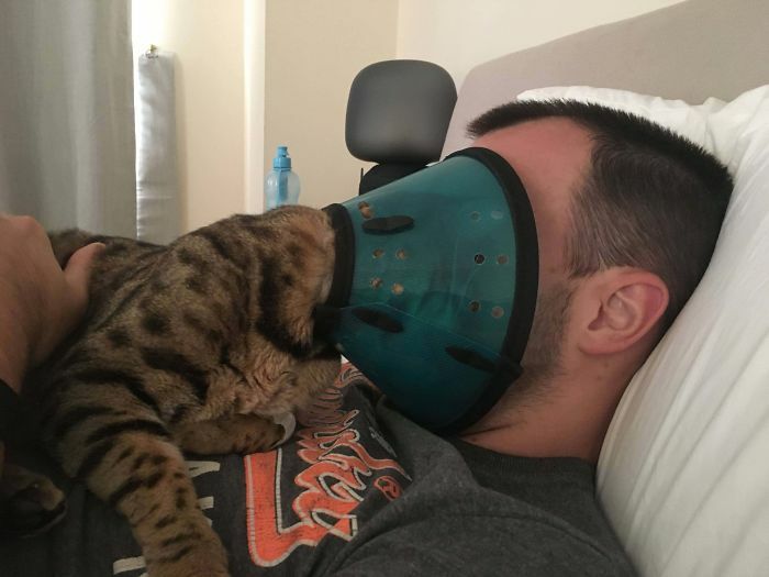 Man lying down with a cat wearing a cone collar covering his face, a funny moment captured of cats losing their single brain cell.