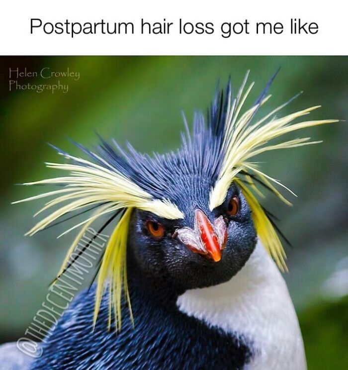 No Amount Of Product Can Fix This.
.
.
.
.
📷 @helencrowleyphotography