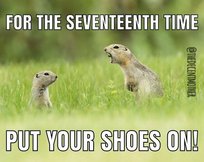 This Is How My Monday Is Going, In Case You Were Wondering. How Are You?