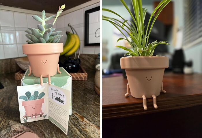 Flower Power With A Twist: The Face-Off Planter