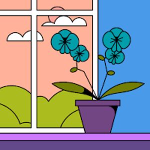 amandalouise_1 avatar