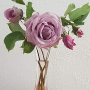 dutchgallagher avatar