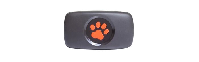 Pitpat Dog Gps Tracker