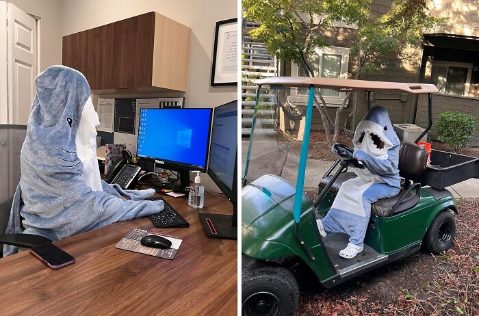 Stay Cozy And Fun With A Shark Blanket Hoodie: Transform Into A Playful Shark While Keeping Warm