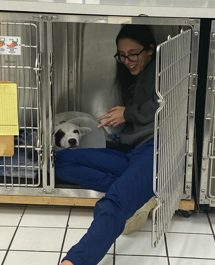 Vet sharing a light moment with a dog in a kennel, showcasing a wholesome scene from the veterinarian’s office.