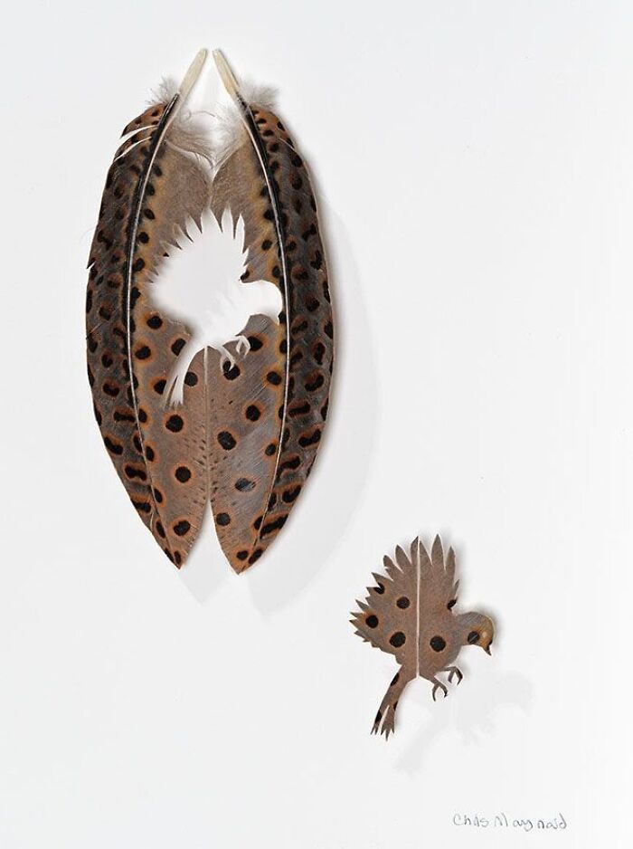 Feathered Fantasies: The Exquisite Avian Artistry Of Chris Maynard (New Pics)