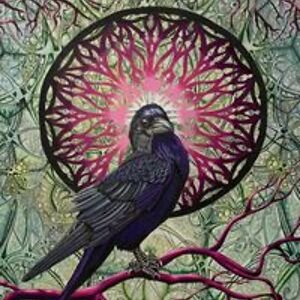 martinepicard_demcom avatar