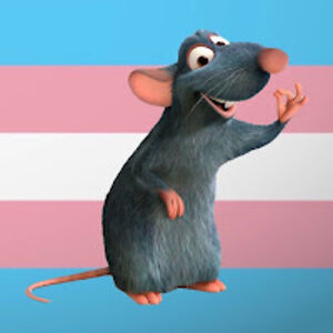 mileymassengill avatar