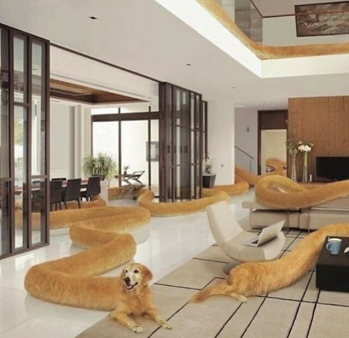 The Cutest Boi Of The Internet •
•
•
•
#characterdesign #clipstudiopaint #digitalarts #digitaldraw #digitalillustration #drawing #krita #myart #painttoolsai #tabletdrawing #character #characterdesigns #characterdrawing #dogfeatures #doggie #doggosbeingdoggos #doggosdoingthings #dogs #dogsdaily #puppers #puppiesofinstagram #puppygram #puppyoftheday #cutedogs #cutepup