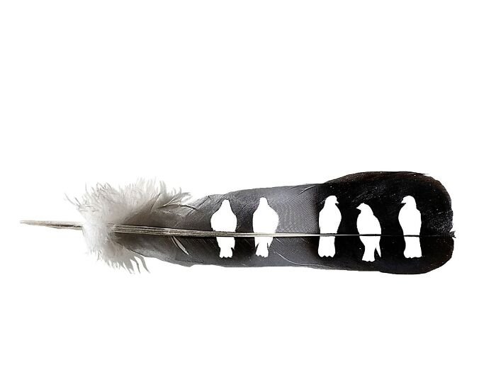 Feathered Fantasies: The Exquisite Avian Artistry Of Chris Maynard (New Pics)