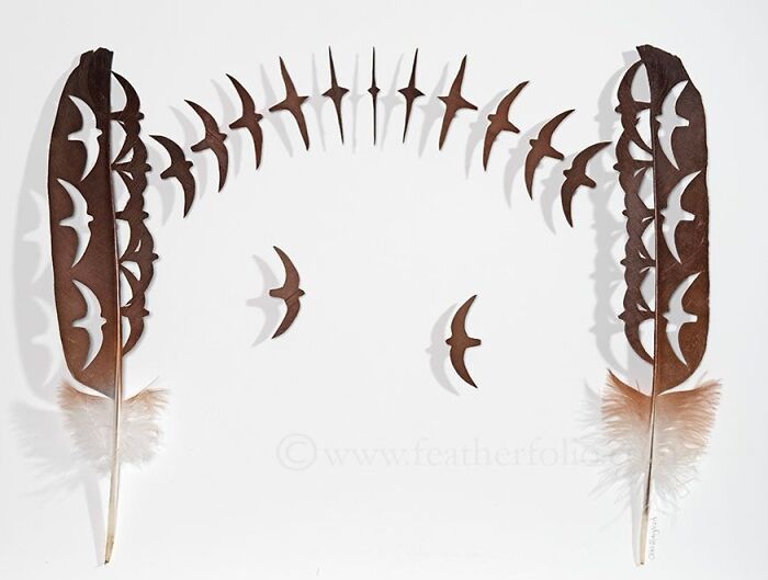 Feathered Fantasies: The Exquisite Avian Artistry Of Chris Maynard (New Pics)