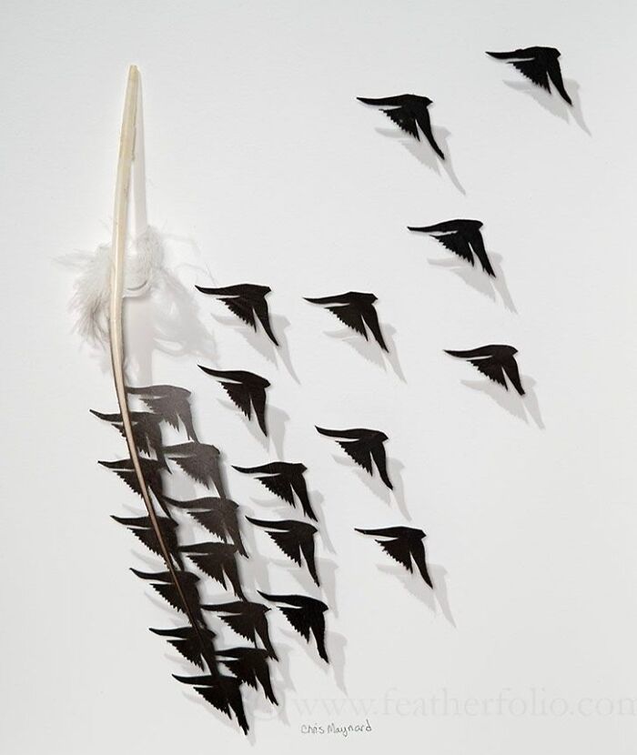 Feathered Fantasies: The Exquisite Avian Artistry Of Chris Maynard (New Pics)