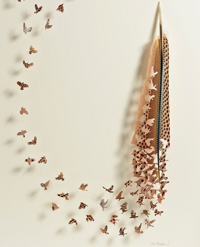 Feathered Fantasies: The Exquisite Avian Artistry Of Chris Maynard (New Pics)