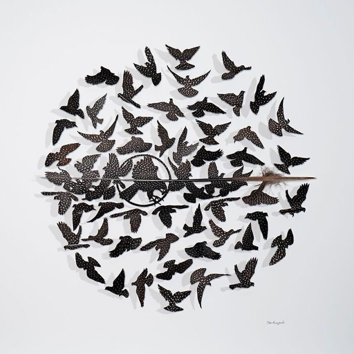 Feathered Fantasies: The Exquisite Avian Artistry Of Chris Maynard (New Pics)