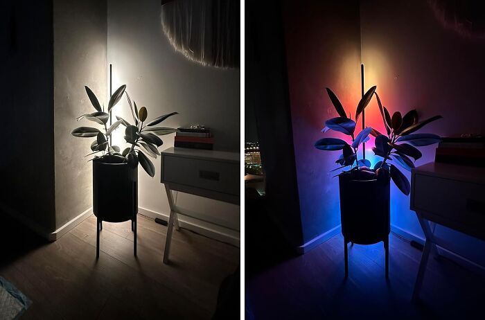 Speak To Light: This LED Corner Lamp Follows Alexa's Every Command!