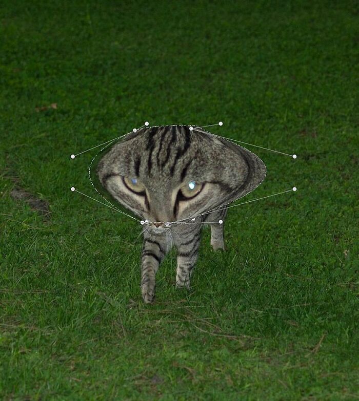 Via @johnnydufort
#photoshophead #photoshopmaster