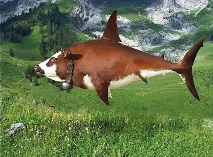 Milk Shark (Pun By @emmanuel_le_reste )
#withfeelings