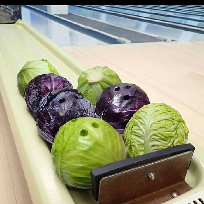 Vegan Bowling
made By @gabbois
#vegan #bowling #dankmemes #meme #memes #funny #animememes #pixelart #art #playstation #xbox
#nintendo #area51memes #retro #vintage #anime
#vaporwave #aesthetic
#420 #trash #nerd #instagood #lit #fortnite
#gamer