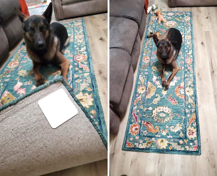 Flat & Firm Floors: Home Techpro Rug Grippers Secure Carpets In Place!