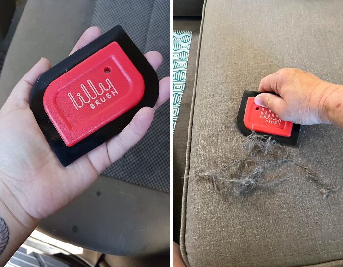 Pet Hair? No Problem! Lilly Brush Detailer For Pristine Carpets & Seats!