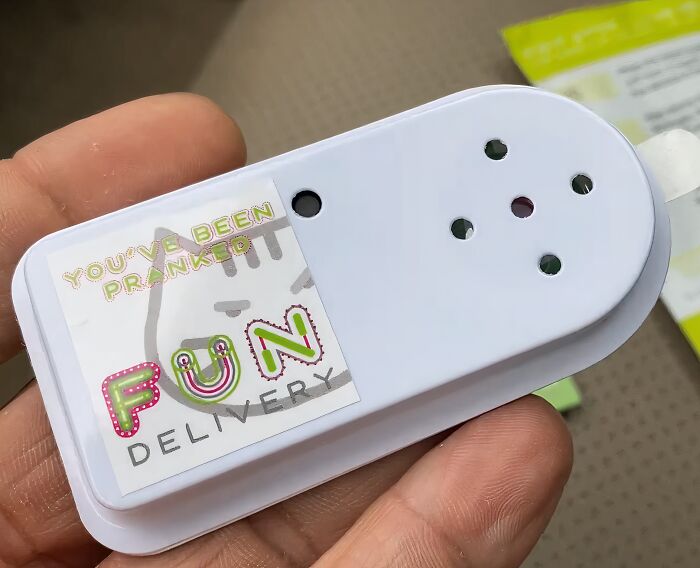 Prankster's Delight: Meowing Sound Bomb To Puzzle And Amuse!