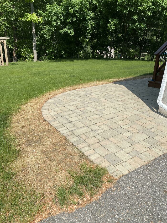 Strip Of Dead Grass Alongside Walkway. How Would I Go About Fixing It So It’s Green And Lush Again?