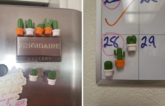  Magnetic Greenery: Spruce Up Your Kitchen