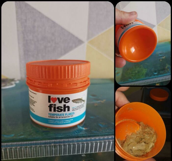 Even Fish Food Isn't Immune. Hard To See, But The Concave Bit Comes Up To A Quarter The Height Of The Tub. Only Just Noticed