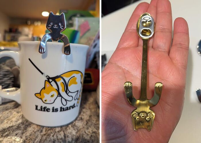 Spoonful Of Cattitude: Honbay’s Stainless Mini Spoons For Your Daily Delight