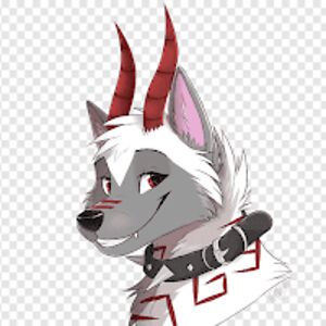 abigailmoritz avatar