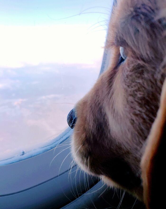 Bodie's First Flight