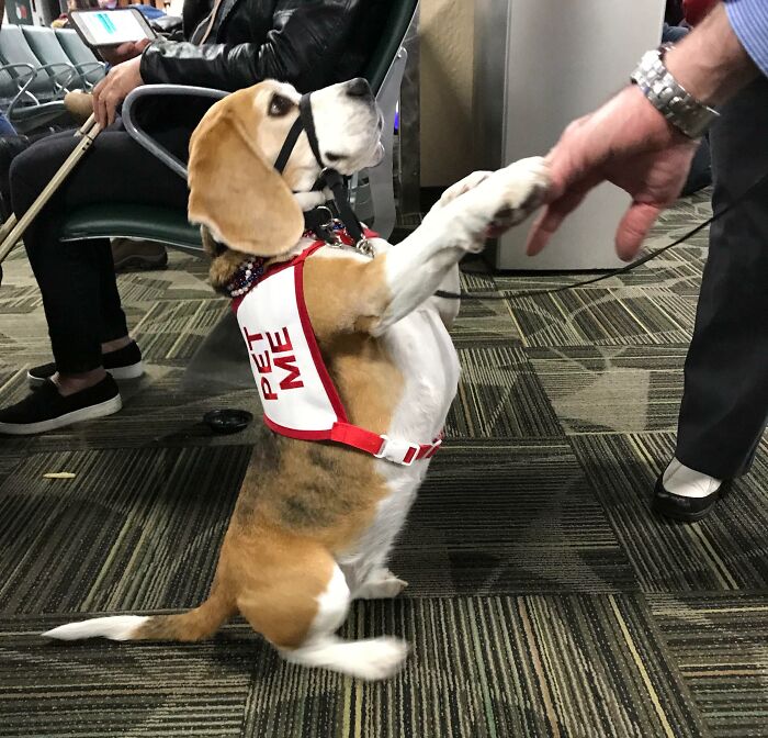 The Plus Side Of Having A Delayed Flight In Reno