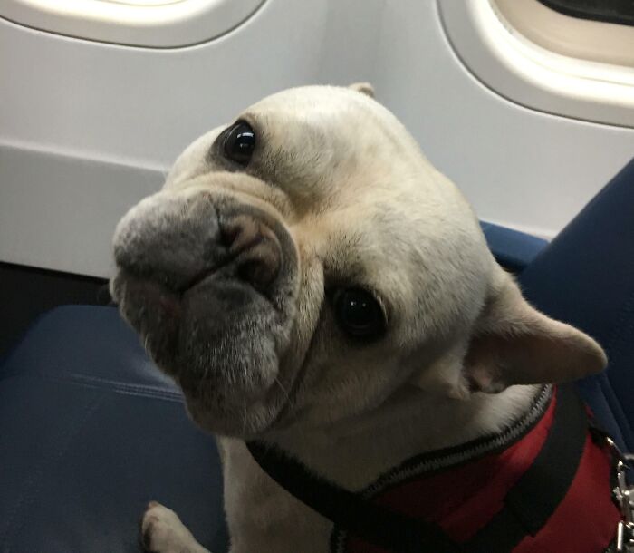 Someone Lucked Out On This Empty Flight And Has Their Own Seat