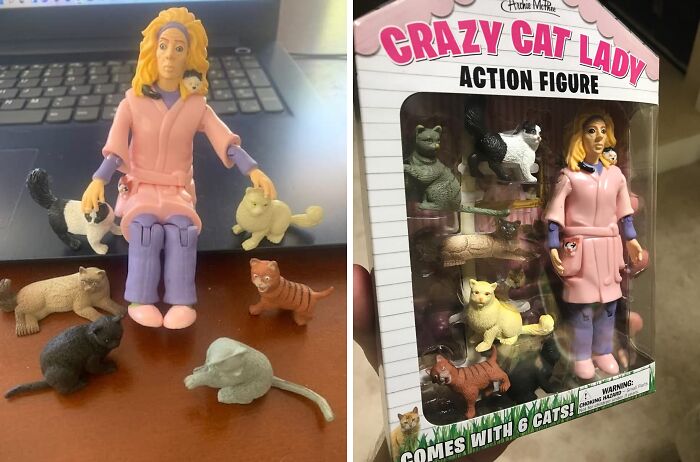 Crazy cat lady action figure toy with six small cat figurines, a quirky Amazon find blending genius and unusual novelty items.