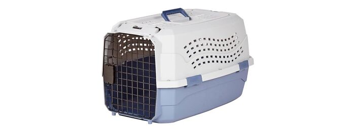 Amazon Basics Pet Travel Carrier