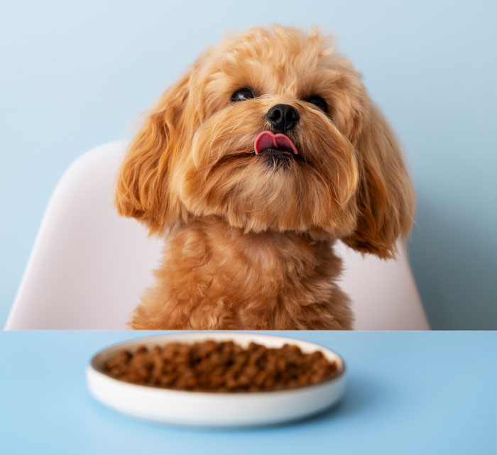 Best Cheap Dog Food Recommended By Vets - 1