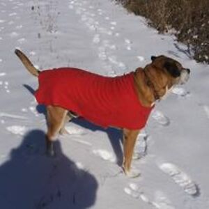 misslaureyjanne avatar