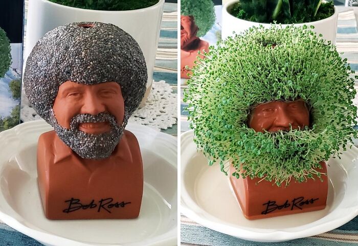 Bob Ross chia pet Amazon find with growing green plants shaped like hair and beard, quirky and unique home decor item.