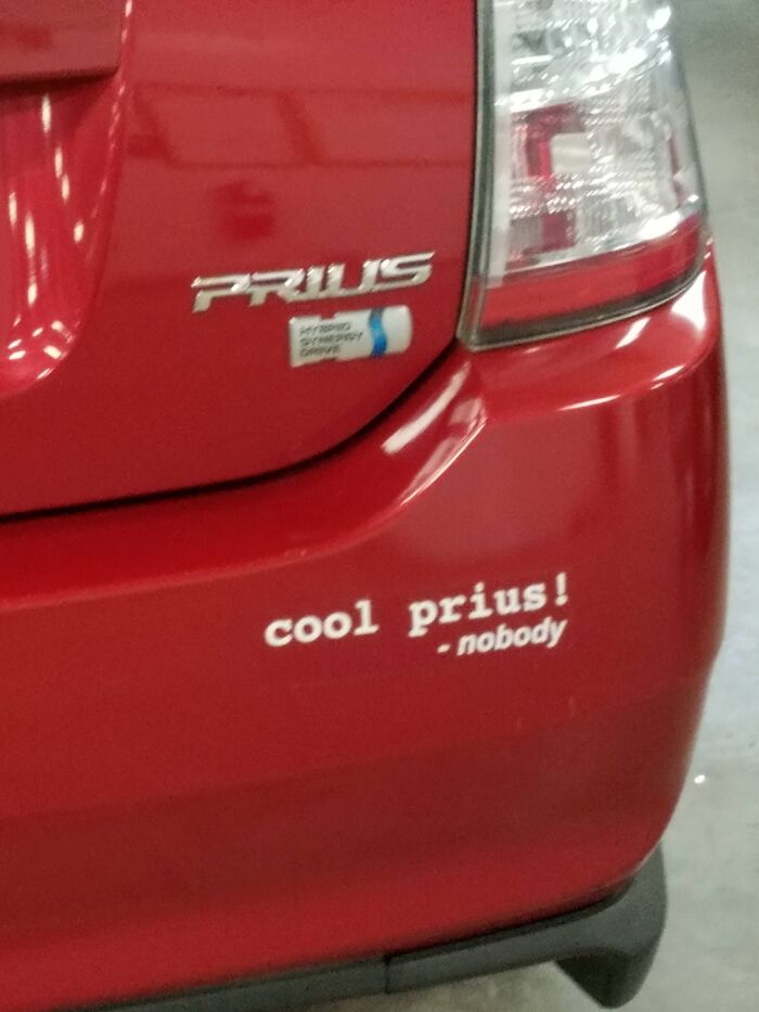 Self Aware Prius Owner