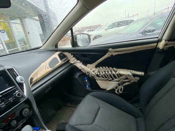 Cam In For An Appraisal To Trade In And Get The Mirror Cap Replaced. Hand Painted A Pterodactyl