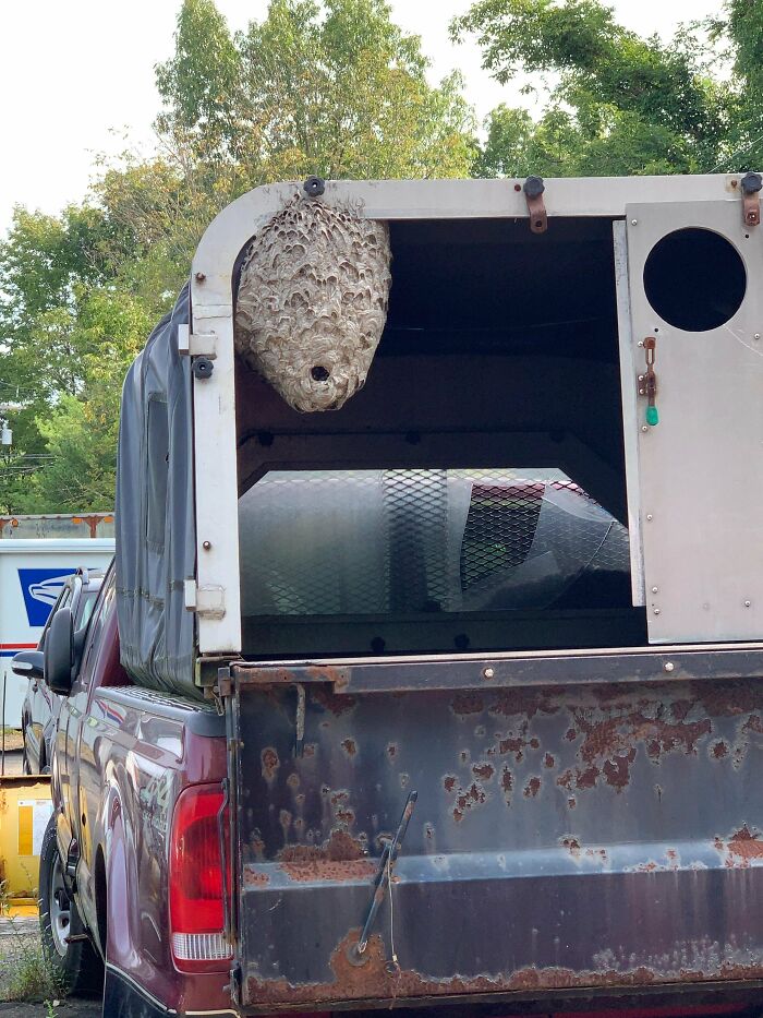 Customer Dropped Off For Oil Change. Neglected To Mention This