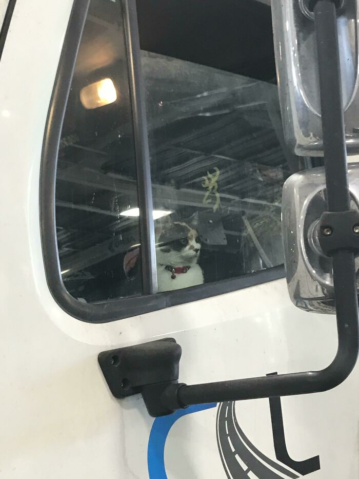 C/S States Engine Making “Pssst Pssst Pssst” Noise