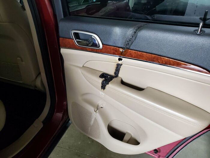 Accidentally Made A Magnifying Glass When Rain Gathered On Crash Wrap Covering A Busted Sunroof