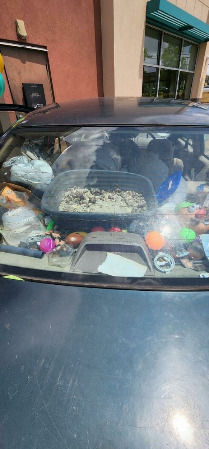 Tech States “I’m Not Getting In That Car, You Can’t Make Me”